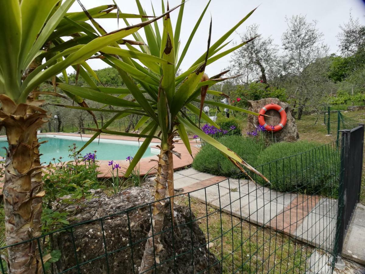 Agriturismo "Crocino In Chianti" Gaiole in Chianti Extérieur photo